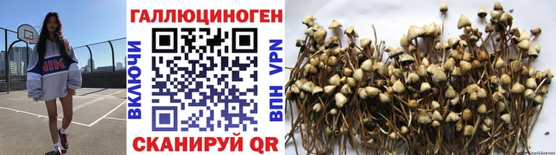 дарк нет формула  купить наркотики цена  Юрюзань  Галлюциногенные грибы Magic Shrooms 
